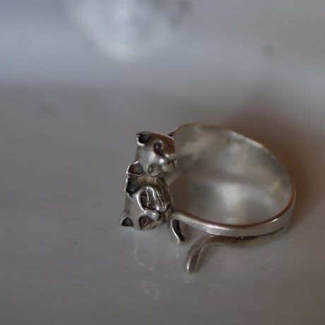 Cats Ring, sterling silver