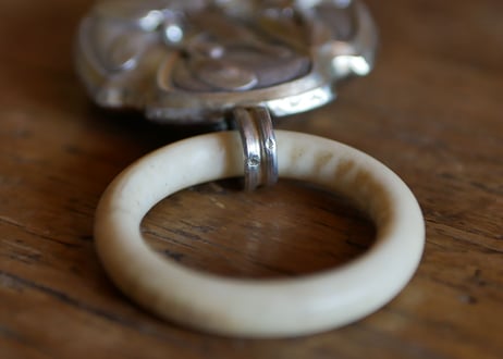 silver rattle, mistletoe