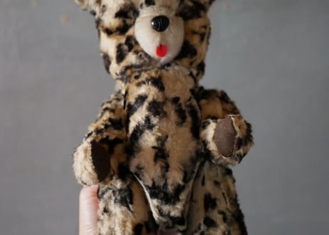 Teddy bear, Leopard