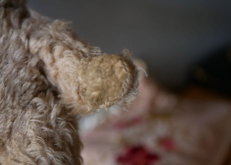 old teddy bear