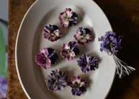 Violettes
