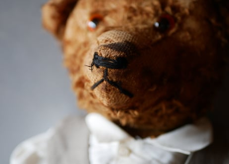 Teddy Bear from England