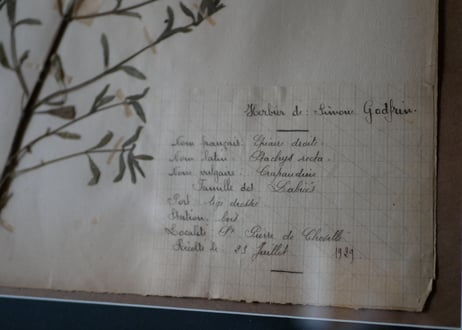 herbier no.4