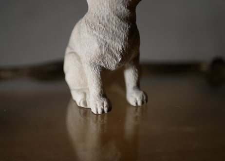 白い猫　Chat Blanc　フランスヴィンテージ　ブロカントのある暮らし