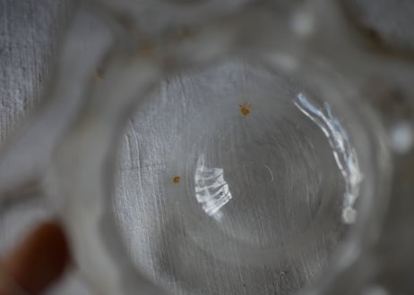金彩のフラワーポット　ガラスポット　花瓶　フランスアンティーク　ブロカントのある暮らし