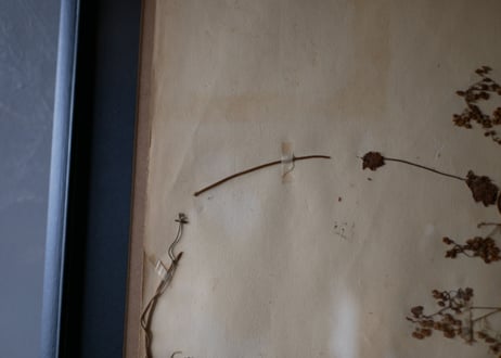herbier no.3