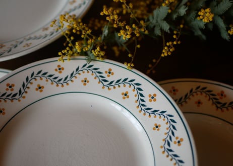 mimosa plate