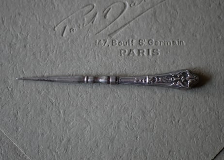 Silver needle