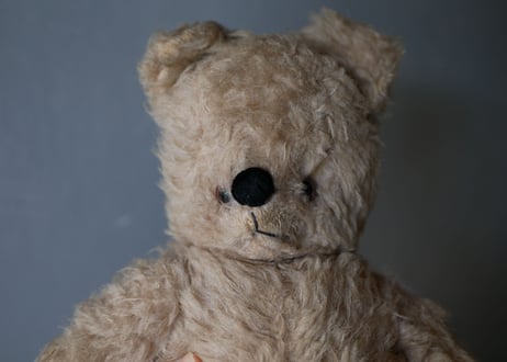old teddy bear