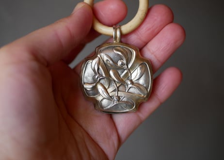 silver rattle, mistletoe