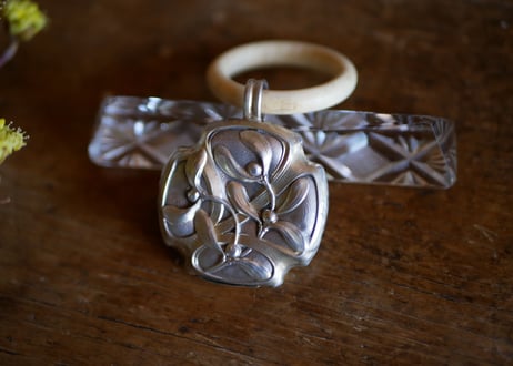 silver rattle, mistletoe
