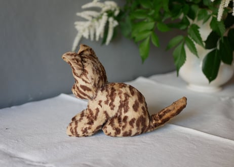 Cat from FRANCE