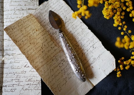 mimosa, petit couteau