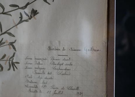 herbier no.4