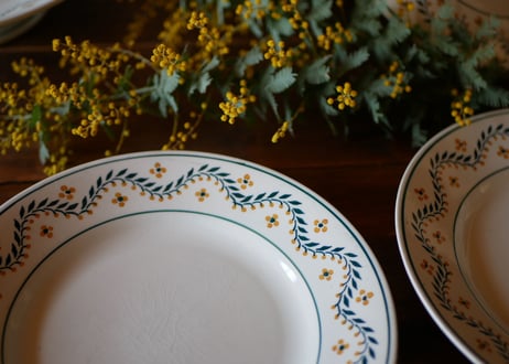 mimosa plate