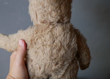 old teddy bear