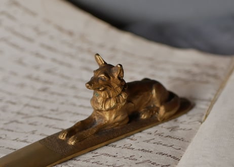 letter openner, Dog