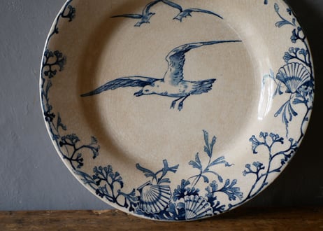 plate B, seagulls