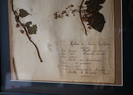 herbier no.3