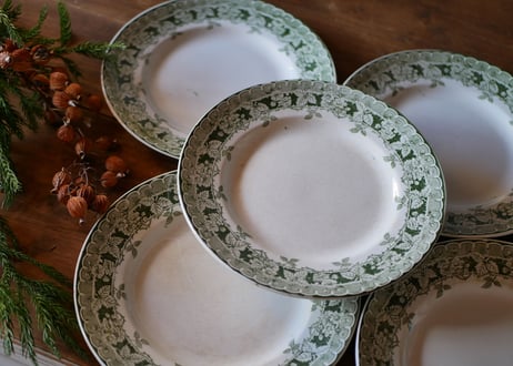 Botanical plate→4