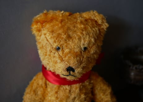 Yellow teddy bear