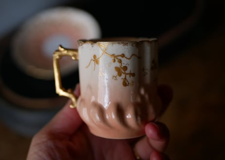 Limoges Cup & saucer