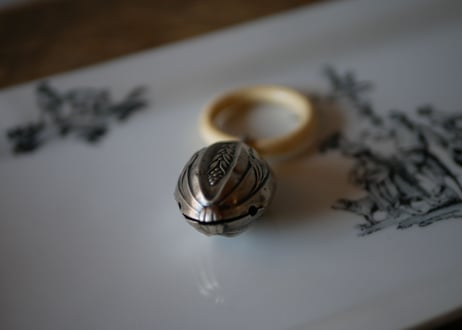 Silver rattle,