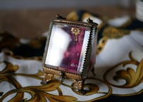 Beautiful case for watch