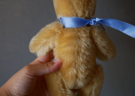 Small teddy bear