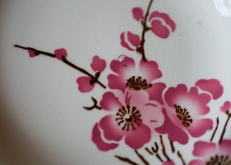 Fleurs de pêche    plate