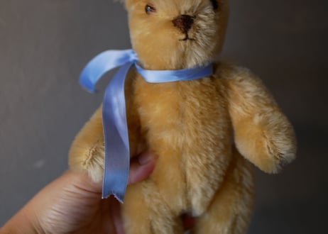 Small teddy bear