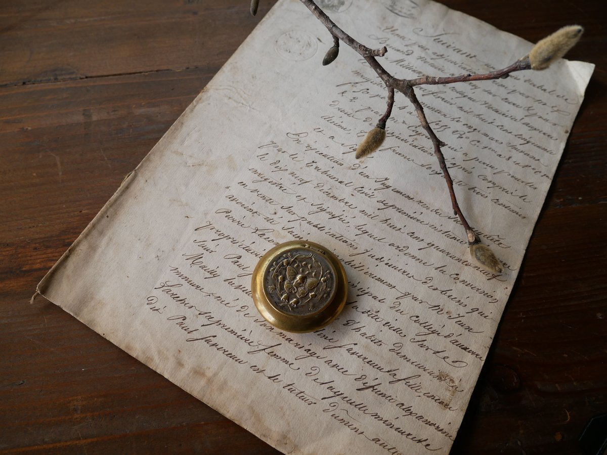 フランスアンティーク パウダーケース コンパクトミラー butterfly