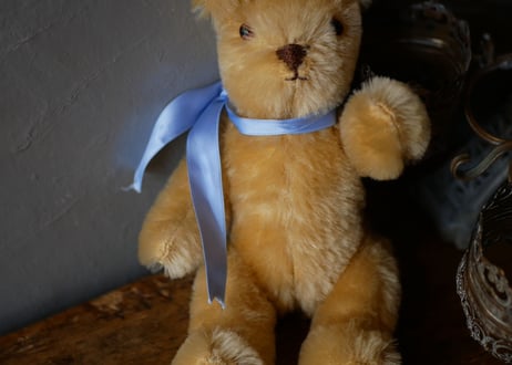 Small teddy bear