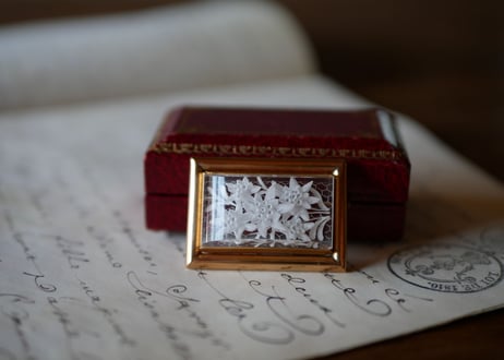Lucite Brooch Edelwiss