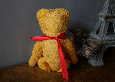 Yellow teddy bear