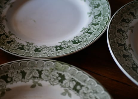 Botanical plate→4
