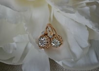 FE-06 Natural Diamond K18 PG Earrings