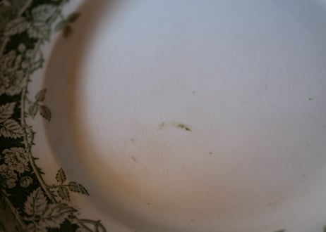 Botanical plate→4