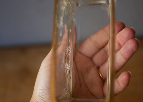 つばめとスミレの美しい器　フランスアンティーク　アンティークのある暮らし