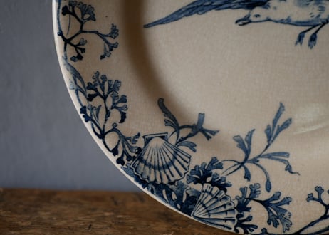 plate A, seagulls