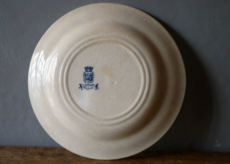 plate B, seagulls