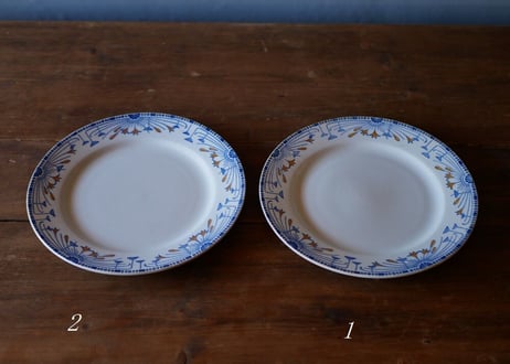 ２ creil et monterea plate