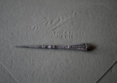Silver needle