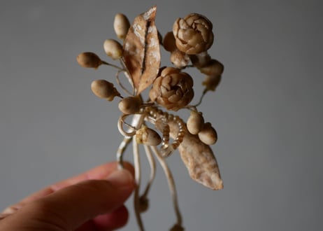 Wax flower