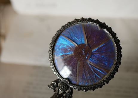 Hand mirror of Morpho