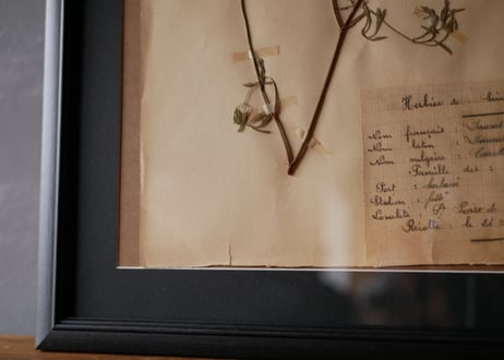 herbier no.2