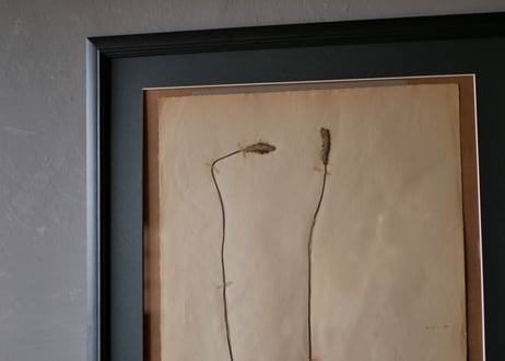 herbier no.6