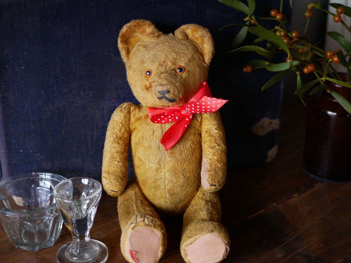 5 アンティークテディベア Hungary | mamantique