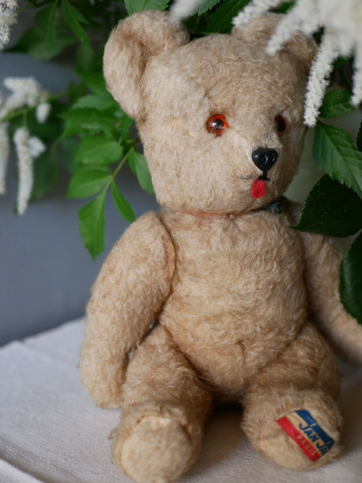 Bear, JAN JAC PARIS | mamantique Bear, JAN JAC PARIS | mamantique