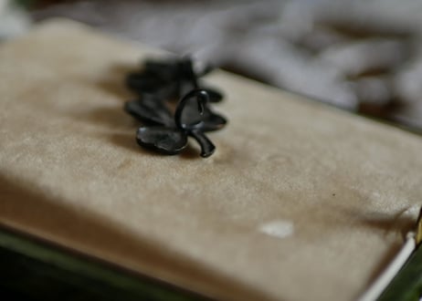 Black clover